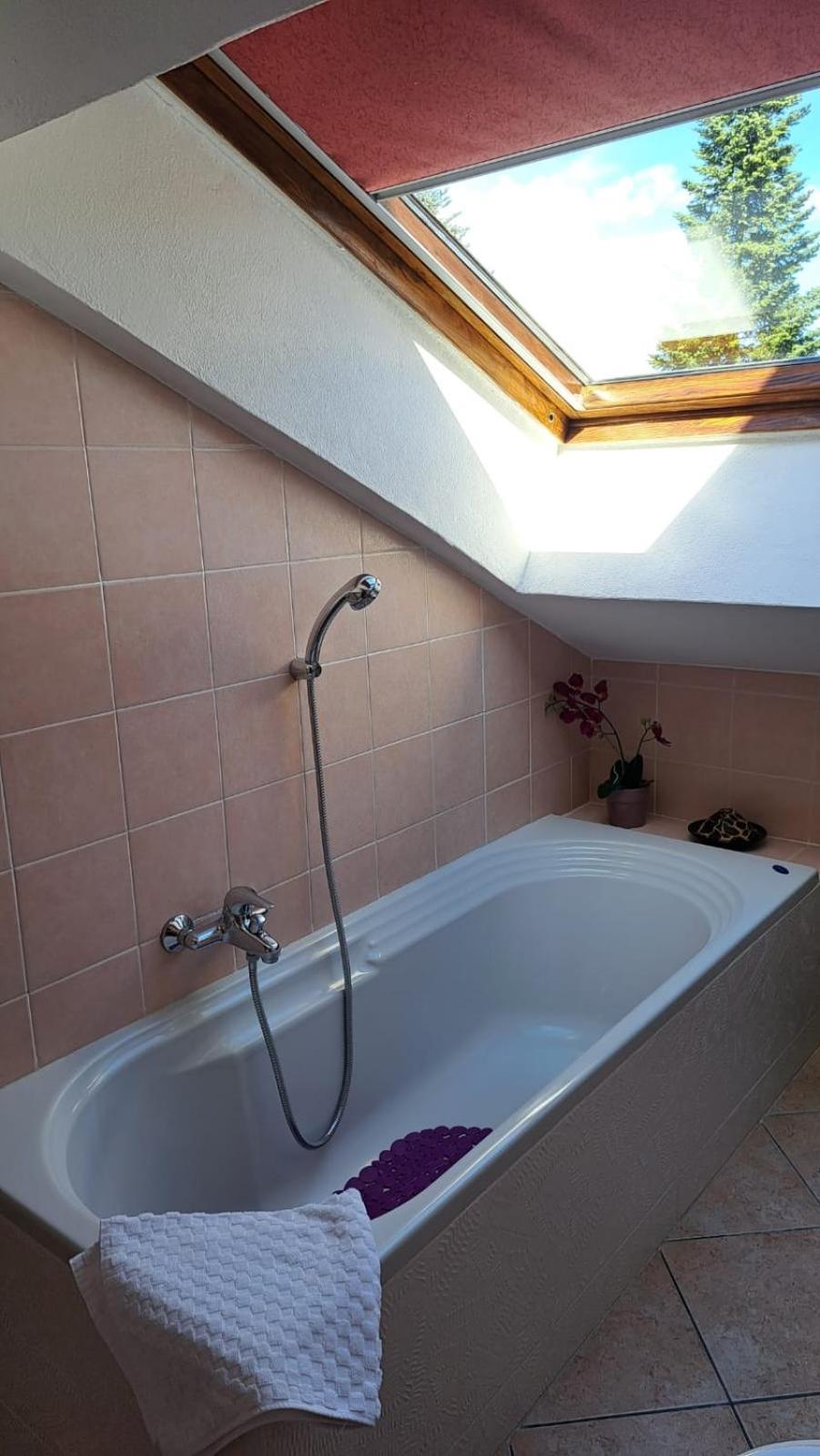 Casa Paola - Stazione 400 Mt - Free Wifi Apartment Аркоре Екстериор снимка