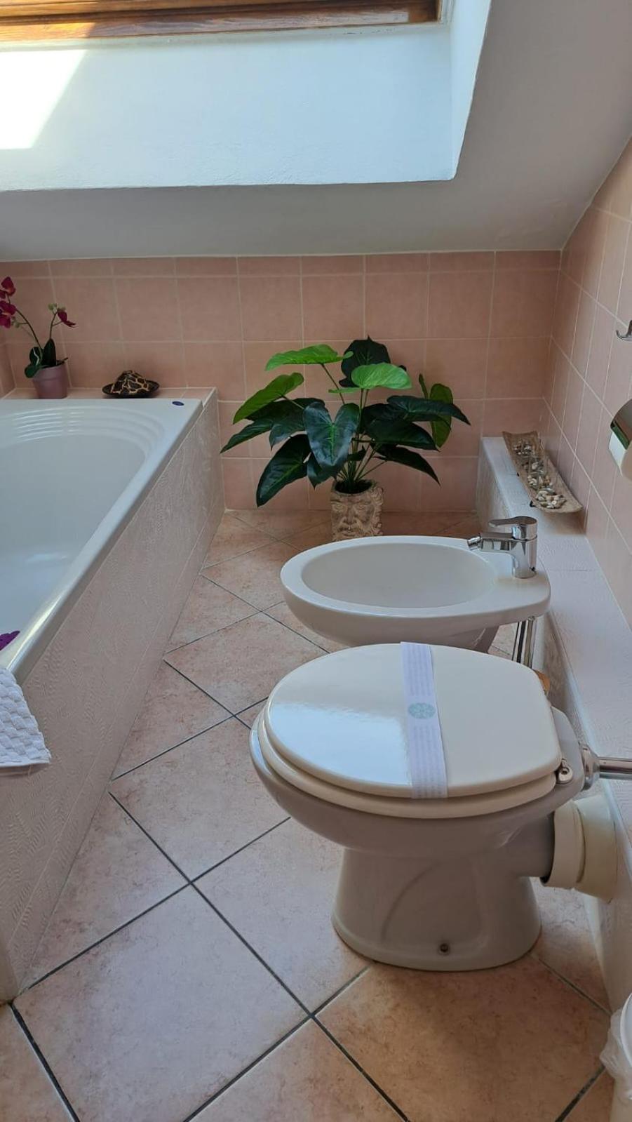 Casa Paola - Stazione 400 Mt - Free Wifi Apartment Аркоре Екстериор снимка
